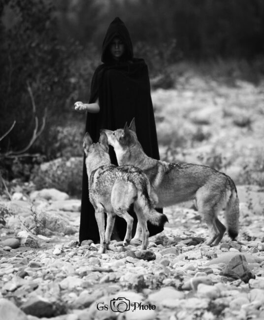 IMG_0190